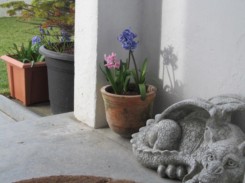 Bosayne Guest House Tintagel Exterior foto